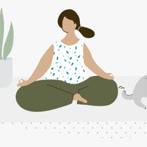 DBT Skills Fundamentals + Introduction Training