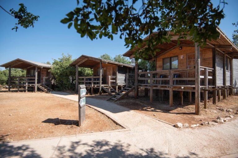 The Mindfulness Retreat (5-Day Silent Retreat, Ajloun, Jordan)